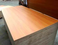 melamine furniture plywood for cabinet and interior decorative
