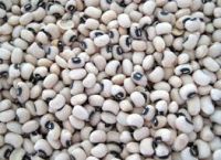 Black Eyed Peas (White)