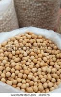 Soybean
