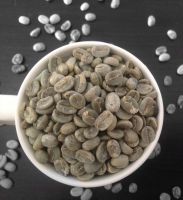 Arabica Coffee Beans