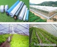 https://www.tradekey.com/product_view/Agriculture-Film-4530826.html
