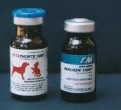 ITPP) Myo-inositol trispyrophosphate and other Supplement for Horse, Camels and Greyhounds