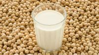 https://jp.tradekey.com/product_view/Organic-Soy-Milk-Powder-8816017.html