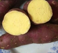 Sweet Potatoes