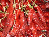 Red Dry Chillies