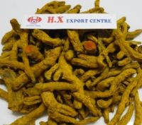 dried turmeric finger