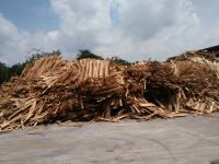 Rubber  wood  chips