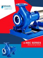 e-NSC Cast Iron End Suction Pumps