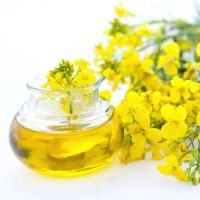 Rapeseed oil for biodisel and cook