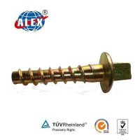 Factory Price Professional Customized Rail Screw Spike For Track Fastener