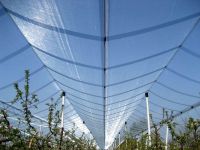 Anti-hail net, olive net, agriculture net, PE shade net
