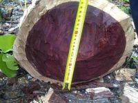 LOGS (Mukwa (Pterocarpus angolensis), Mukula (pterocarpus chrysothrix), Rosewood, Eucalyotus and Pine)