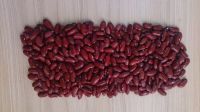 Red Kidney beans