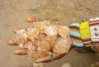 Gum Arabic Powder and Raw