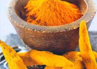 Turmeric Powder for Sale