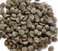 Buy Robusta coffee, Arabica coffee. Roasted and green