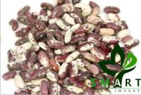 Smart Agro Invest LLC : White Kidney Beans  "Swallow"  from Ukraine