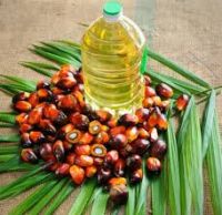 Palm oil for sell