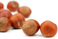 HAZELNUTS