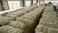 Sisal Fiber