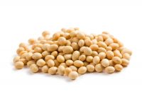 Soy Bean