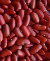 Red  Kidney Beans