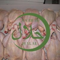 Certified Halal Frozen Chicken 1, 45$ per 1kg