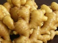 Fresh Ginger Available For Sale & Export