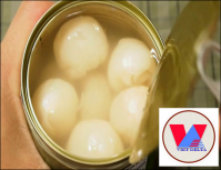 Canned Lychee (Tropical fruit) exporting from Vietnam for best selling/WhatsApp +84962946460