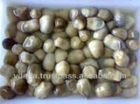 Purity Straw Mushroom in Brine from Viet Nam for best selling/WhatsApp +84962946460