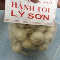 Hot Deal for Ly Son fresh white garlic from Vietnam