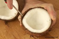 MATURE COCONUT