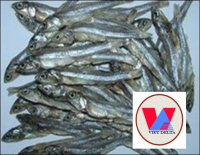 Salted Dried Anchovy/Sprats from Vietnam