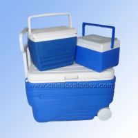 Cooler Box 3 in 1