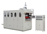 Disposable Cup Thermoforming Machine