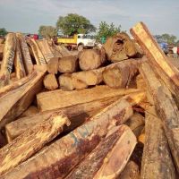 kosso wood