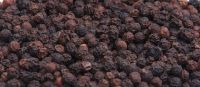 Black Pepper (Whole)