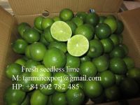 Good fresh seedless lime with cheap price