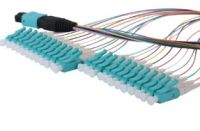  MPO/MTP Fiber Optic Patchcord