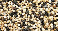 High Quality Grade Sesame Seeds/Nigerian