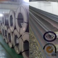 Hot rolled stainless steel sheets