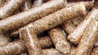 Wood Pellet- High Quality and Competitive Price