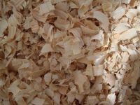 Wood Shavings- Good Price