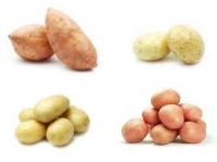 Potatoes, Sweet Potatoes