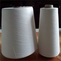 Polyester spun Yarn