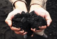 Coal from Indonesia