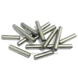 Precision Stainless Steel Dowel PIN For Mold Parts (ZOOM)