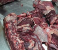 Halal Frozen Beef / Forequarter Cuts 90VL