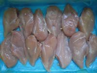 Halal Chicken Breast SL/BL