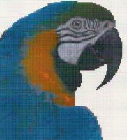 Blue And Gold Macaw Counted Cross Stitch